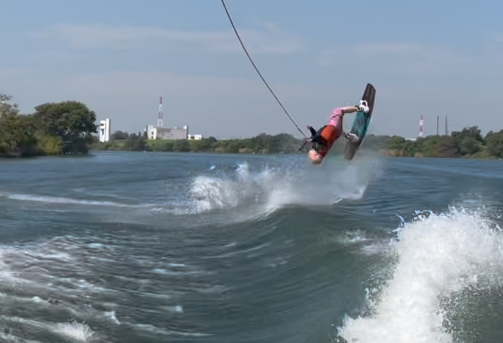 from Editor 29 of Web SHERPA