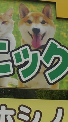 看板拡大写真