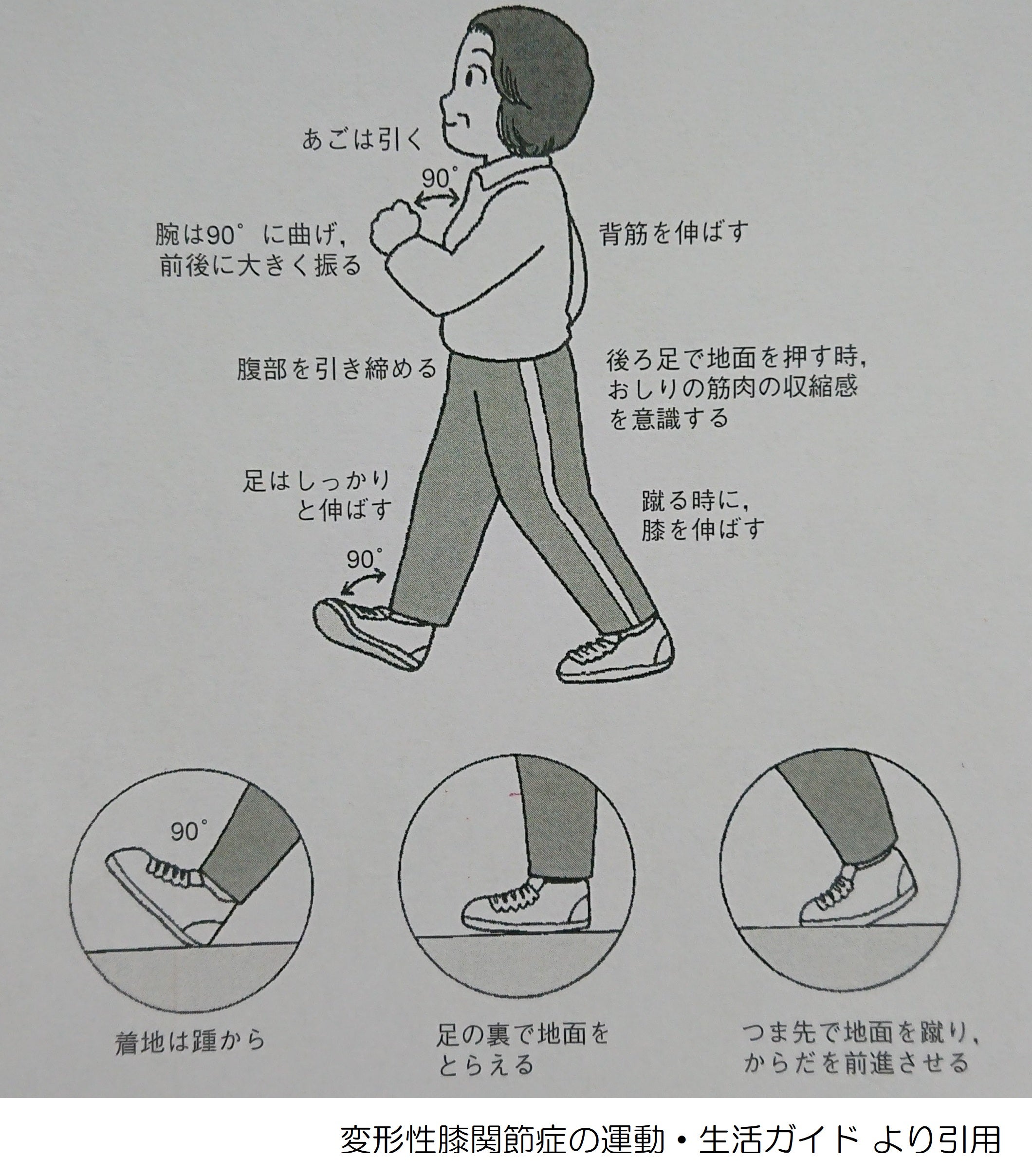 散歩のススメ 医療法人社団昭和会