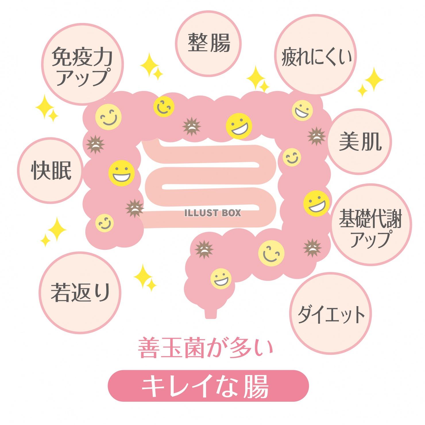 ブログ 株式会社ワイコーポレーション